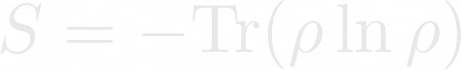 Von Neumann Entropy