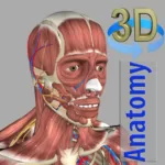 3D Anatomy Paid (Patched) v6.2