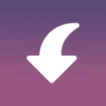 Insget - Instagram Downloader (Premium Unlcoked) MOD APK